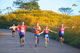 Runner tham gia giải chạy Gia Lai City được chiêm ngưỡng những cảnh quan tuyệt đẹp trên cung đường chạy. Ảnh: Gia Lai City Trail