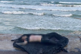 Thi thể nạn nhân được đưa lên bờ phục vụ công tác điều tra.