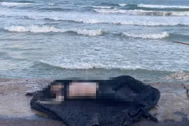 Thi thể nạn nhân được đưa lên bờ phục vụ công tác điều tra.