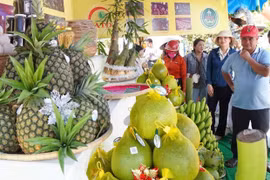 Tích cực phát huy tiềm năng nông sản Gia Lai