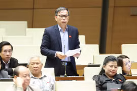 ĐB Đồng Ngọc Ba bày tỏ sự quan tâm đặc biệt đến vấn đề quy định về ngành, nghề cấm đầu tư kinh doanh.