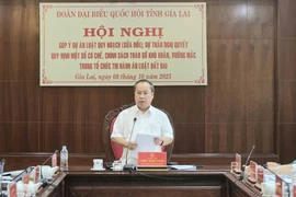 Trưởng đoàn ĐBQH tỉnh Châu Ngọc Tuấn phát biểu tại hội nghị.
