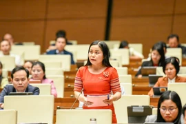 ĐB Rơ Châm H’Phik đề xuất cần sửa đổi quy định để tạo điều kiện cho người dân thực hiện bán, thừa kế, tặng, cho tài sản gắn liền với đất thuê.