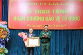 Trao tặng Huân chương Bảo vệ Tổ quốc hạng Ba cho Bí thư Tỉnh ủy Thái Đại Ngọc.