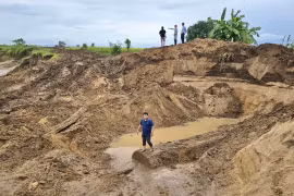 Sở Nông nghiệp và Môi trường yêu cầu kiểm tra vụ khai thác gỗ trái phép trên bờ sông Ayun.