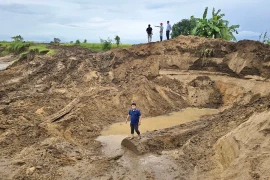 Sở Nông nghiệp và Môi trường yêu cầu kiểm tra vụ khai thác gỗ trái phép trên bờ sông Ayun.