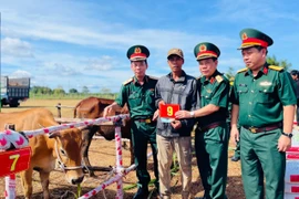 Lữ đoàn 234 bàn giao 200 bò giống cho hộ nghèo, cận nghèo xã Kdang.