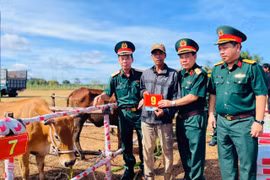 Lữ đoàn 234 bàn giao 200 bò giống cho hộ nghèo, cận nghèo xã Kdang.