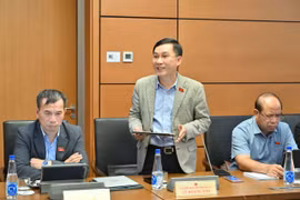 Theo ĐB Hoàng Anh, bối cảnh quốc tế hiện nay đặt ra yêu cầu rất lớn đối với Việt Nam về tự chủ chiến lược.