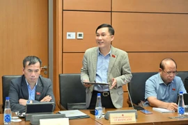 Theo ĐB Hoàng Anh, bối cảnh quốc tế hiện nay đặt ra yêu cầu rất lớn đối với Việt Nam về tự chủ chiến lược.