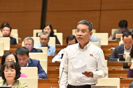 Đại biểu Quốc hội Đinh Ngọc Quý đề nghị Chính phủ có giải pháp giúp người lao động được hưởng thành quả của phát triển.