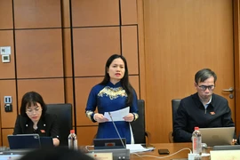 Đại biểu Quốc hội đề xuất giải pháp để các chính sách phát triển nông thôn, giảm nghèo bền vững và phát triển KT-XH vùng DTTS phát huy hiệu quả.