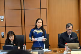 Đại biểu Quốc hội đề xuất giải pháp để các chính sách phát triển nông thôn, giảm nghèo bền vững và phát triển KT-XH vùng DTTS phát huy hiệu quả.