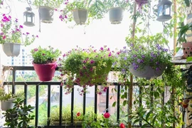 Những ý tưởng thú vị trang trí ban công đón Tết