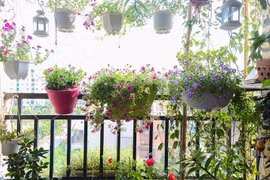 Những ý tưởng thú vị trang trí ban công đón Tết