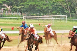 Trăm năm đua ngựa Sài Gòn