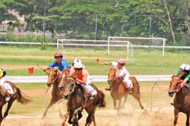 Trăm năm đua ngựa Sài Gòn