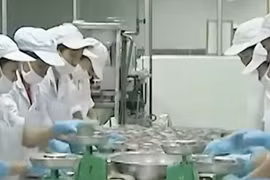 Trước vụ 130 tấn thịt lợn bệnh công ty Đồ hộp Hạ Long vận hành ra sao?