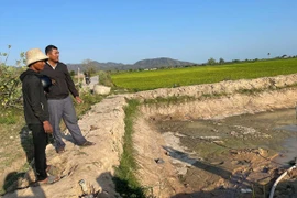 Ruộng chịu khát dù bên công trình thủy lợi
