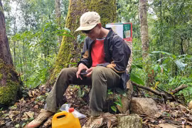 Ngược núi lên đỉnh Ngọc Linh 'ăn Tết với sâm'