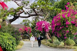 Trải nghiệm bản sắc cao nguyên từ homestay