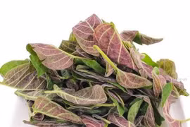 Lợi ích sức khỏe từ lá mơ lông có thể bạn chưa biết