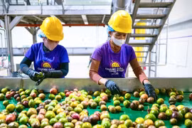 Gia Lai nâng chuỗi giá trị chanh dây với tầm nhìn dài hạn