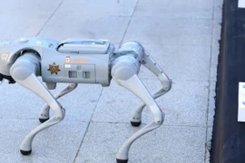 Mexico sẽ triển khai “chó robot” hỗ trợ an ninh cho World Cup 2026