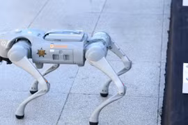 Mexico sẽ triển khai “chó robot” hỗ trợ an ninh cho World Cup 2026