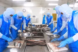 Ban Quản lý Khu kinh tế tỉnh: Đồng hành hỗ trợ doanh nghiệp