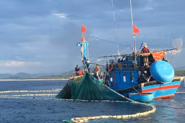 'Mật ngọt' từ biển Mỹ Á