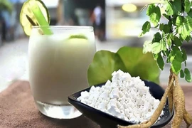 Các loại nước uống giúp giải rượu bia hiệu quả ngày Tết