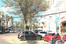 “Mạng nhện” cáp viễn thông mất an toàn