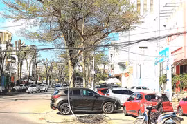 “Mạng nhện” cáp viễn thông mất an toàn