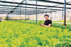 Khi nông dân mang tư duy doanh nhân