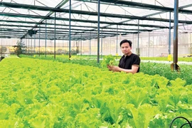 Khi nông dân mang tư duy doanh nhân