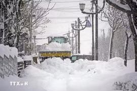 Nhật Bản: Hàng chục người thiệt mạng vì tuyết rơi dày