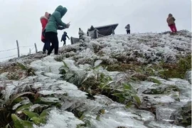 Dự báo thời tiết 10 ngày tới: Miền Bắc rét kéo dài, miền Trung mưa giông