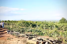 Dự án đường bộ cao tốc Quy Nhơn - Pleiku: Người dân Đak Đoa tự giác bàn giao mặt bằng thi công