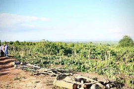 Dự án đường bộ cao tốc Quy Nhơn - Pleiku: Người dân Đak Đoa tự giác bàn giao mặt bằng thi công