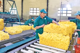 Công nghiệp chế biến: Động lực tăng trưởng mới