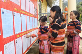 Sẵn sàng cho ngày bầu cử 15-3