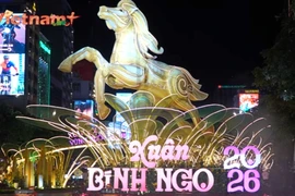 Người dân TP Hồ Chí Minh nô nức du Xuân trong không gian đường hoa Nguyễn Huệ