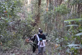 “Ngược ngàn” vào Đak Sơmei: Khi mầm xanh viết tiếp bản tình ca của đất