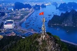 Hướng về đất mẹ Việt Nam