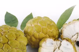 Những lợi ích của mãng cầu ta chưa từng nghe tới