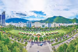 Khát vọng từ đại ngàn đến đại dương