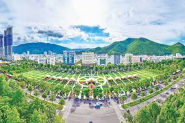 Khát vọng từ đại ngàn đến đại dương