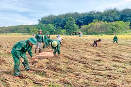 Ấm no một dải biên cương