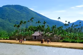 Các thung lũng ở Quy Nhơn xưa